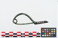 Foto von Bronzezweiknopffibel (NHMW-PRAE-025047)